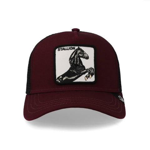 Gorra Goorin Bros The Stallion Vino Unitalla