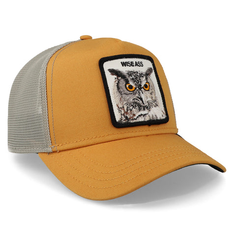 Gorra Goorin Bros V2 Owl Amarilla Unitalla