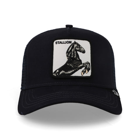 Gorra Goorin Bros The Stallion Azul Unitalla