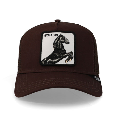 Gorra Goorin Bros The Stallion Café Unitalla