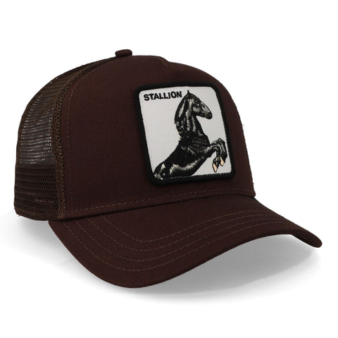 Gorra Goorin Bros The Stallion Café Unitalla