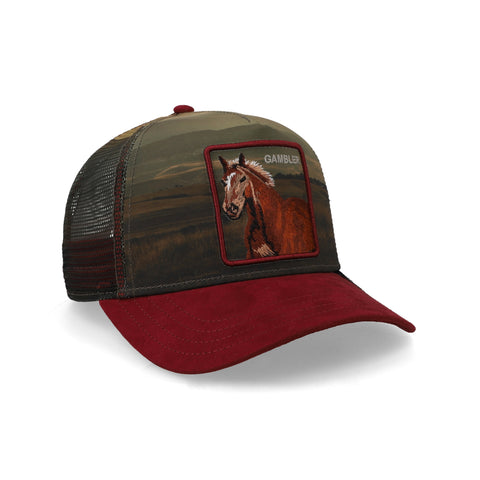 Gorra Goorin Bros Stallion In The Element Unitalla