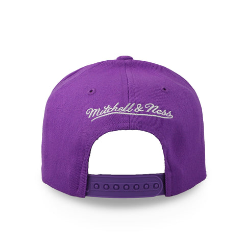 Gorra Mitchell & Ness NBA Raptors Team Ground 2.0 Unitalla