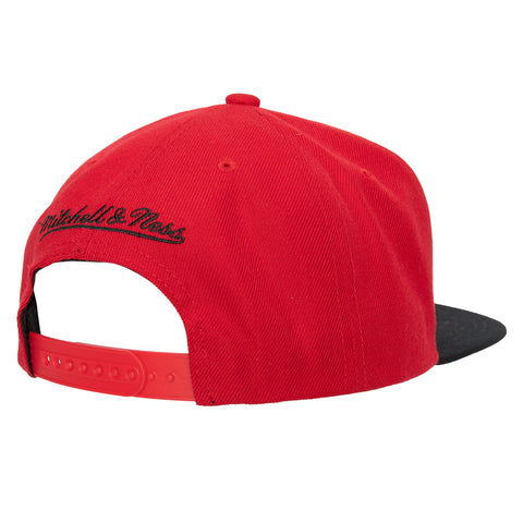 Gorra Mitchell & Ness NBA Hawks Team 2 Tone Rojo Unitalla