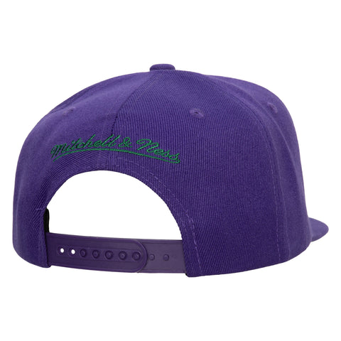 Gorra Mitchell & Ness NBA Bucks Paint By Number Unitalla