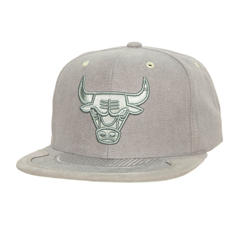 Gorra Mitchell & Ness NBA Bulls Day 4 Gris Unitalla