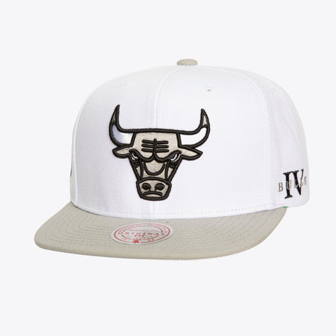 Gorra Mitchell & Ness NBA Bulls Core IV Unitalla