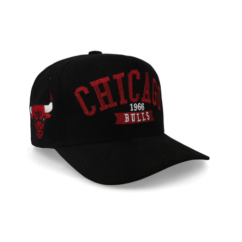 Gorra Mitchell & Ness NBA Bulls Suede