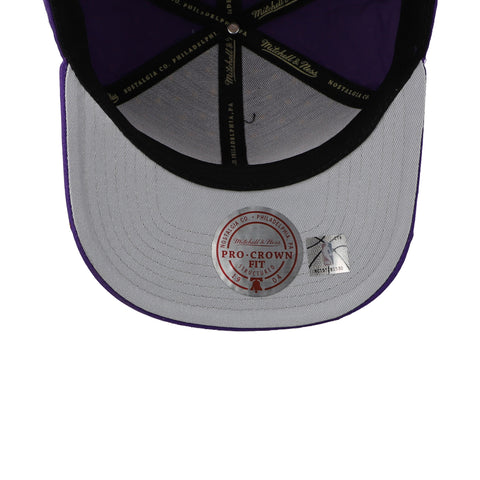 Gorra Mitchell & Ness NBA Lakers Polka Pro Snapback Unitalla