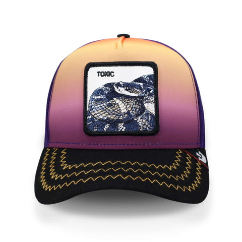 Gorra Goorin Bros 101-0366 Toxic Purple Unitalla