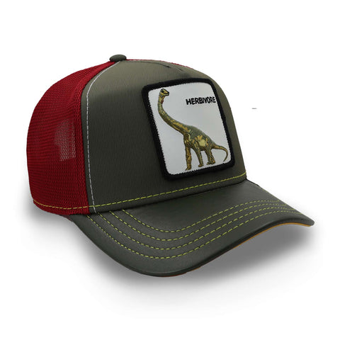 Gorra Goorin Bros 101-0146 Thunder Lizard Olivo Unitalla