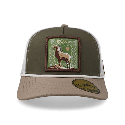 Gorra Piales Carnero Paisley Olivo Unitalla