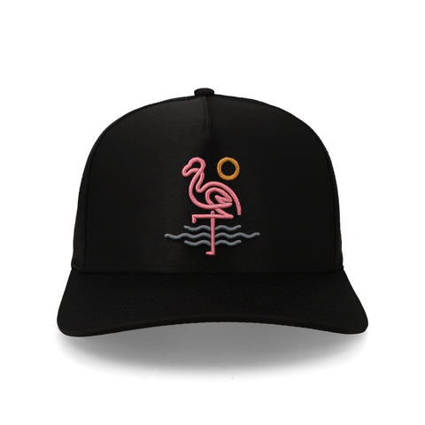 Gorra Waggle Flamingo Bay Negro Unitalla