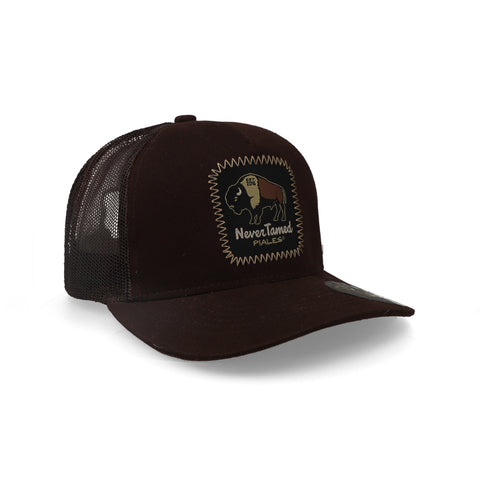 Gorra Piales Never Tamed Café Unitalla