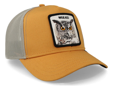 Gorra Goorin Bros V2 Owl 101-1337 Amarillo Unitalla