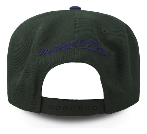 Gorra Mitchell & Ness NBA Bucks Team 2 Tone 2.0 Snapback Hwc