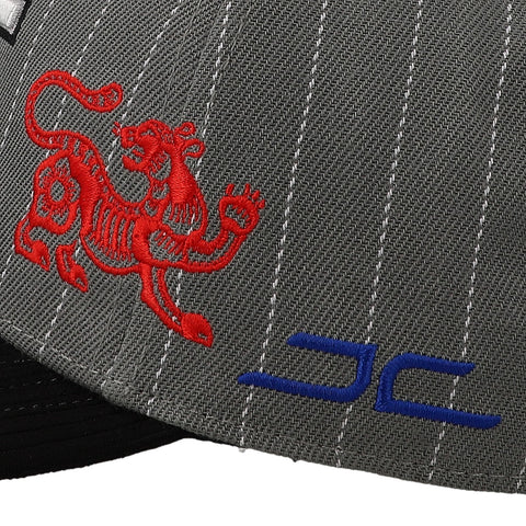 Gorra JC Hats 3242 Tiger Gris