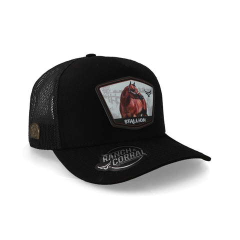 Gorra Ranch & Corral Equus 58 Negra Unitalla