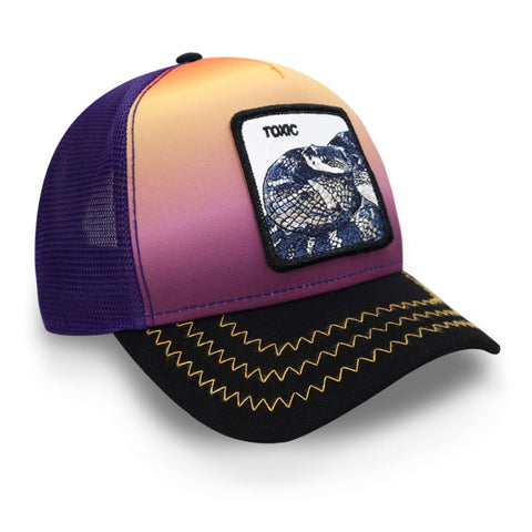 Gorra Goorin Bros 101-0366 Toxic Purple Unitalla