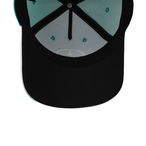 Gorra Stichd Mercedes F1 Team Petronas Verde Unitalla
