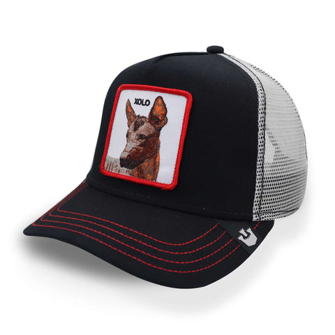 Gorra Goorin Bros 101-0187 Yolo Xolo Negro Unitalla