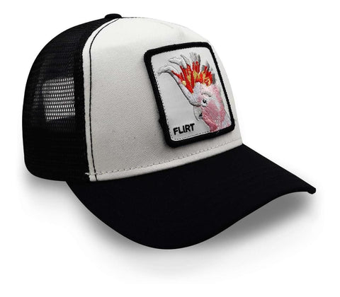 Gorra Goorin Bros 101-0484 The Flirty Bird Negro Unitalla