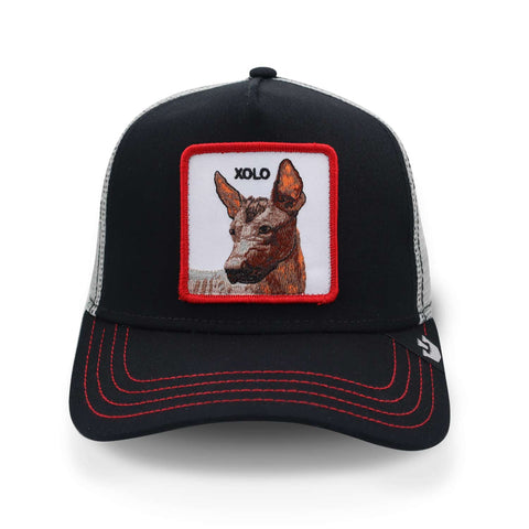 Gorra Goorin Bros 101-0187 Yolo Xolo Negro Unitalla