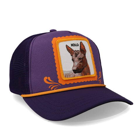 Gorra Goorin Bros 101-1352 Día del Xolo Purple Unitalla