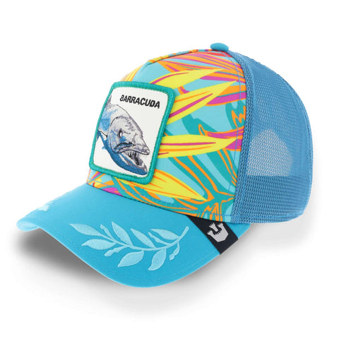 Gorra Goorin Bros Ooh Barracuda Colors Turquesa Uni