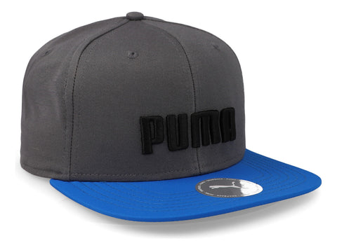 Gorra Puma Flatbrim 02477301 Gris Unitalla