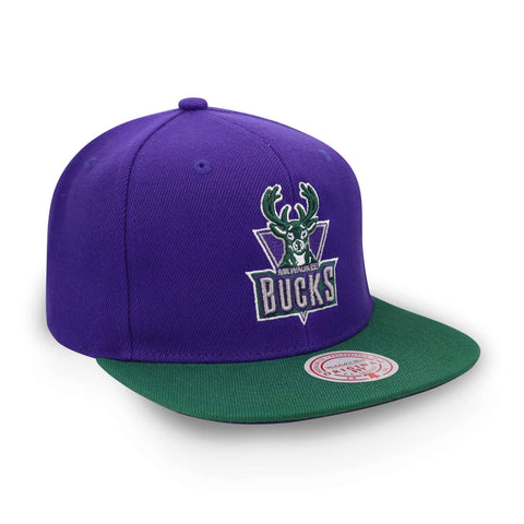 Gorra Mitchell & Ness NBA Bucks Core Basic Hwc Morado Uni