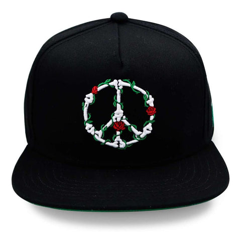 Gorra Cayler & Sons Proses Snapback Negro Unitalla